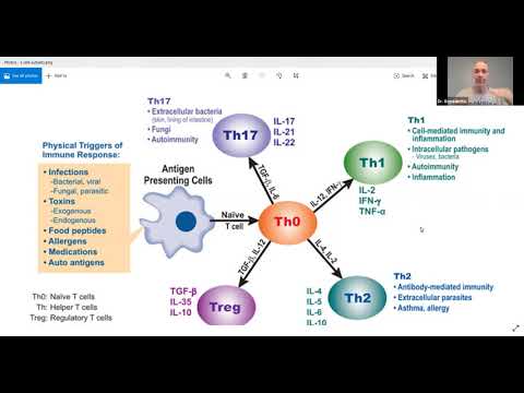 Vidéo: BJ-1108, Un Analogue De 6-amino-2,4,5-triméthylpyridin-3-ol, Régule La Différenciation Des Cellules Th1 Et Th17 Pour Améliorer L'encéphalomyélite Auto-immune Expérimentale