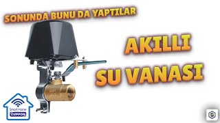 Akilli Su Vanasi (Cupponsmart Wifi Vana & Su Sensörü İncelemesi) Resimi