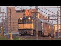 2019.5.6寝台列車カシオペア号(武蔵野線)【朝焼けは黄金色】