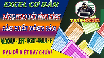 THỰC HÀNH EXCEL- Bảng theo dõi tình hình sản xuất nông sản-VLOOKUP IF RIGHT LEFT VALUE-TRÙM EXCEL