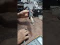Шогирди ПАНЧ ПАНЧА ХУНАР