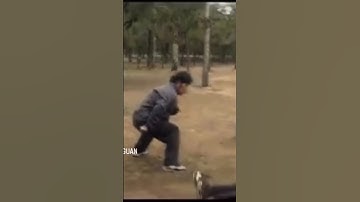 Baguazhang shoulder bump with leg pick #baguazhang #kungfu #martialarts