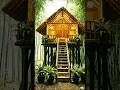 Amazing Bamboo Tree House Build 😍 | Jungle Survival Dream House #shorts