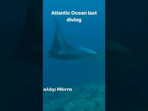 Η Άλκηστις Πρωτοψάλτη κολυμπάει στο βυθό της Κούβας