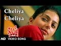 Kushi movie  cheliya cheliya song  pawan kalyan  bhoomika  shalimarsongs