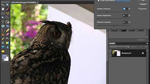 Shadows/Highlights Command in Photoshop Elements