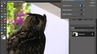Shadows/Highlights Command in Photoshop Elements