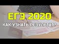 Как узнать в интернете результаты ЕГЭ 2020? Когда они появятся?