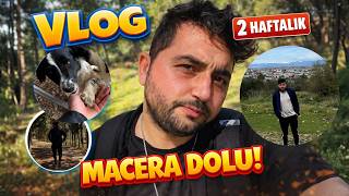 👉 Bu Vlogda Yok Yok! 😱 Direksiyon, Sinema, Aile Günü!