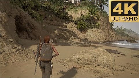 The Last of us part 2 pushing inland PS5 (4k 60fps HDR)