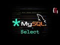 MySql - C# - Select