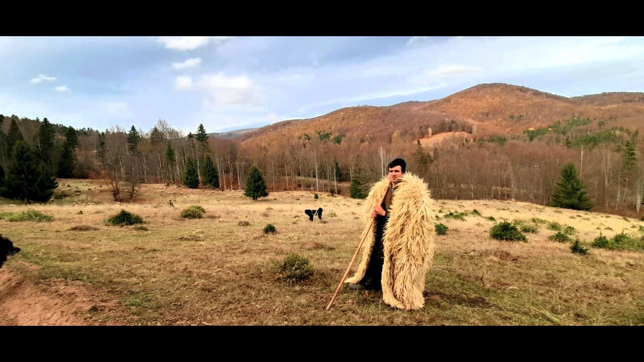 BACIUL BUNGHEZ | VIATA LA STANA IN MUNTII SIRIU | RAVASITUL OILOR | PRIMA PARTE