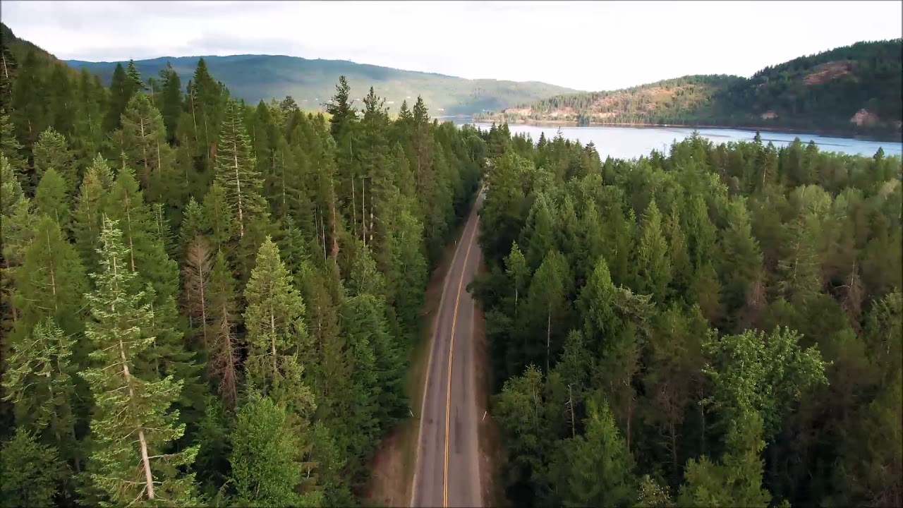 Drone Footage Road Through Forest