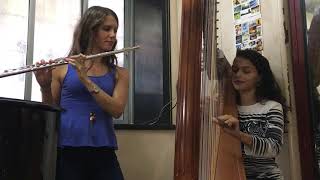 Bollywood harpist - Tum hi ho (Harp & Flute cover)