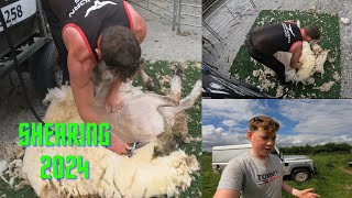 Six Full Kilos Of Premium Merino, All Natural