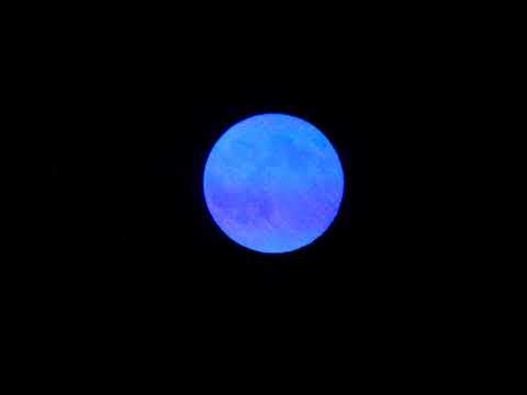 DUA LIPA SWAN SONG Official Italian Lyric Video 