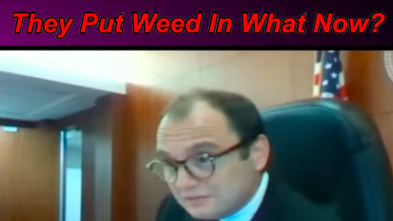 Heard Of Weed Goldfish Crackers? Judge David Fleischer - YouTube