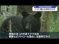 クマに襲われ70代男性けが　現場周辺は警戒態勢　福島・天栄村【スーパーJチャンネル】(2026年5月31日)