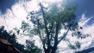 PULAU LUTUNGAN_-_KAB. TOLITOLI_-_ PROV. SULAWESI TENGAH