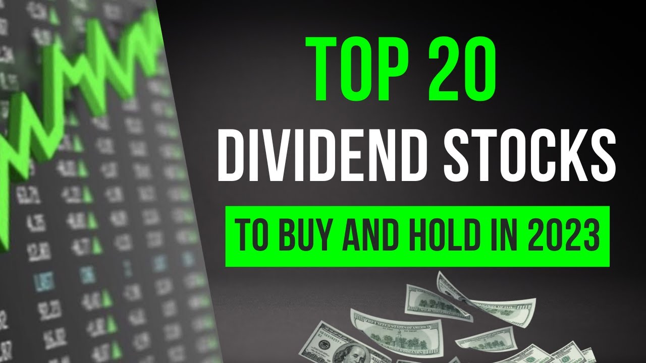 Top 20 Dividend Stocks to Buy and Hold In 2023 - YouTube