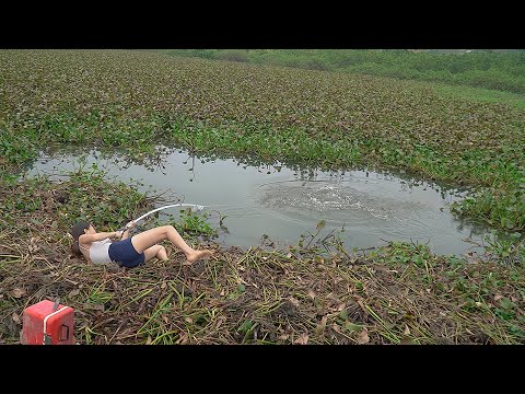 Best Fishing Video | Surprised Girl Hunting Flock of Terrible Black Fish