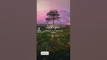 تلاوة خاشعة القارىء الشيخ المنشاوي #قران_كريم #المنشاوي_رحمه_الله #المنشاوي #تلاوة_خاشعة #الصلاة