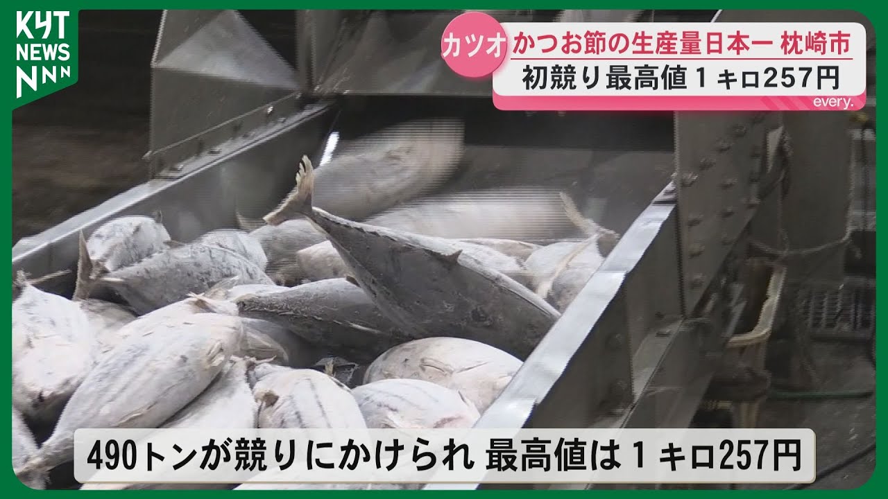 良い価格で取引されてほしい」かつお節生産量日本一・枕崎で威勢よく