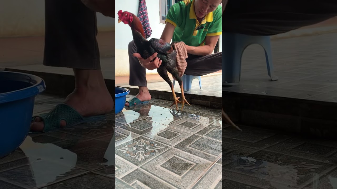 Chúc ae năm mới thật nhiều niềm vui 