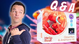 Q & A: HelloReef Beginner Questions Answered