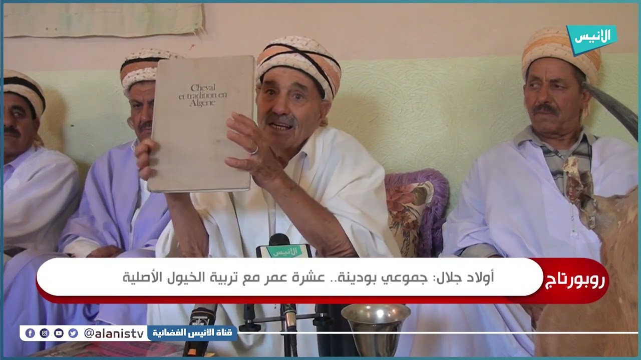أولاد جلال: جموعي بودينة.. عشرة عمر مع تربية الخيول الأصلية