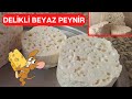 GÖRSELİNE HAYRAN KALACAĞINIZ PEYNİR ✅Evde Beyaz Peynir Tarifi (Delikli Beyaz Peynir  Nasıl Yapılır)✅