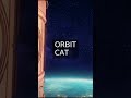 Orbit Cat #Shorts 03