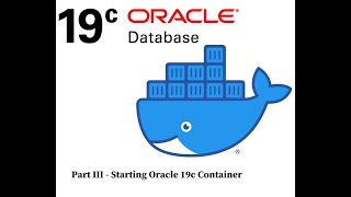 Start Oracle 19.9.0.0 Docker Containers