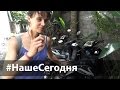 #НашеСегодня - поиск дома на Бали и праздник Галунган | Provolod & Leeloo