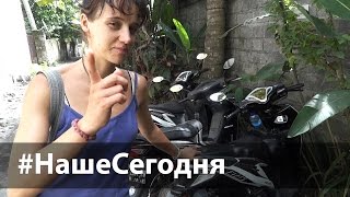 #НашеСегодня - поиск дома на Бали и праздник Галунган | Provolod &amp; Leeloo