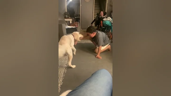 Having fun with my dog