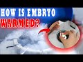 Frozen Embryo Transfer (FET) How Embryos are Warmed (Thawed) in an IVF Lab - STEP BY STEP PROCEDURE