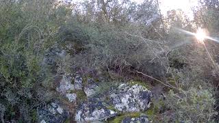 Kekli̇k Partri̇dge Hunt Turkey Yatagan Avimiz İbrahi̇m Kayhan İleegeli̇09 48 Hunter Dogs