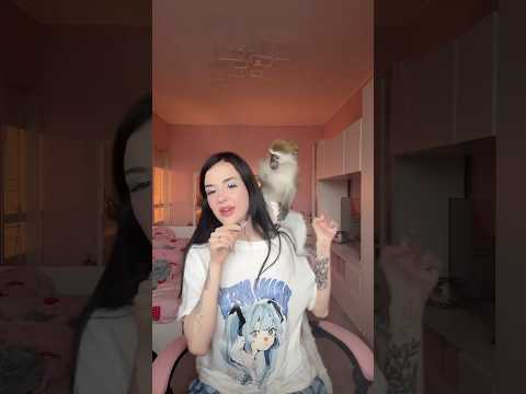 Бибизяна Карина. Автор видео ve_eronika. #юмор #шуточное #комментарии #мемас #мем #прикол #мемы