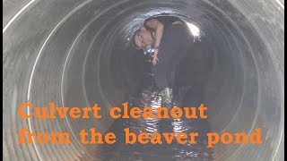 Culvert cleaning to stop the beaver pond from going over the road