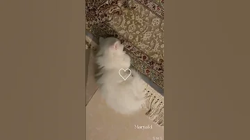 تنهد يا صاح كي تستريح 