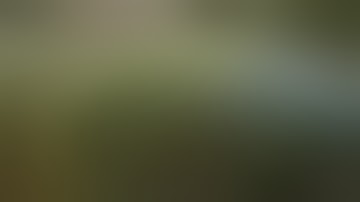 hps vs Electric Sky LED grow light time lapse