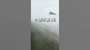 سورة الفيل بصوت الشيخ القارئ ياسر الدوسري #القرآن_الكريم #تلاوة_خاشعة #ياسر_الدوسري