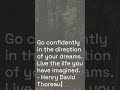 Calm Confidence in the Wild