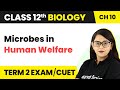 Microbes in Human Welfare - Introduction CBSE/NEET | Class 12 Biology Chapter 10