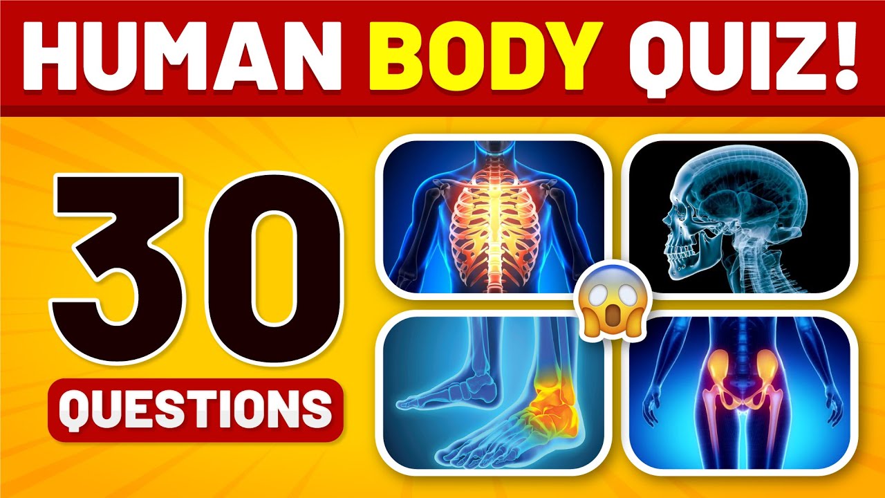 Human Body Quiz Questions General Knowledge Youtube 