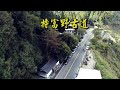 阿里山 Alishan 特富野古道  夢幻森林光線加持