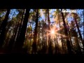 Beautiful Nasheed كن سمحا عثمان الإبراهيم Othman Ibraheem Beautiful Nasheed كن سمحا عثمان الإبراهيم Othman Ibraheem