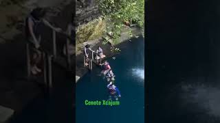 Cenote abierto, Xcajum Dzitas Yucatán México