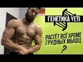 Не растут Грудные Мышцы (Моя генетика, Соотношение ММВ и БМВ)